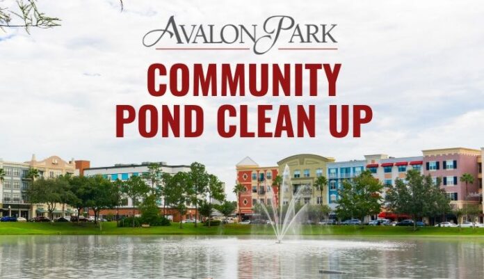 Avalon Park Community Pond Cleanup