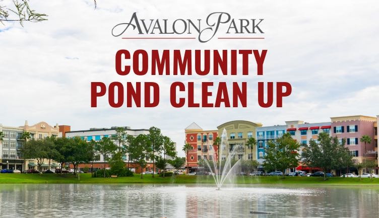 Avalon Park community pond clean up