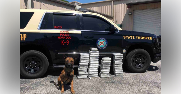 FHP Orlando seized 50 kilos of cocaine valued at over $5,000,000