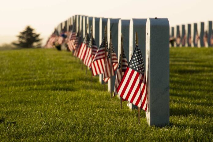 American flags across tombstones in cemetery