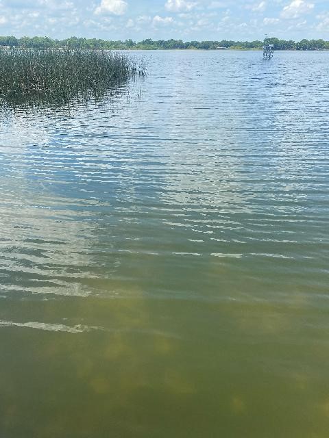Blue Green Algae CAUTION Lake MANN may2022