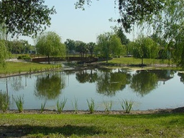 Lake Mendsen at Martin Luther King Jr. Park in Winter Park Florida