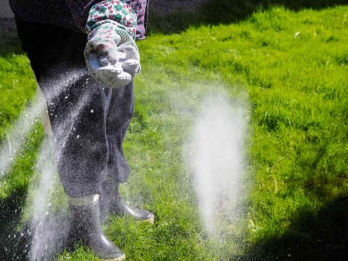Woman spreading fertilizer on grass