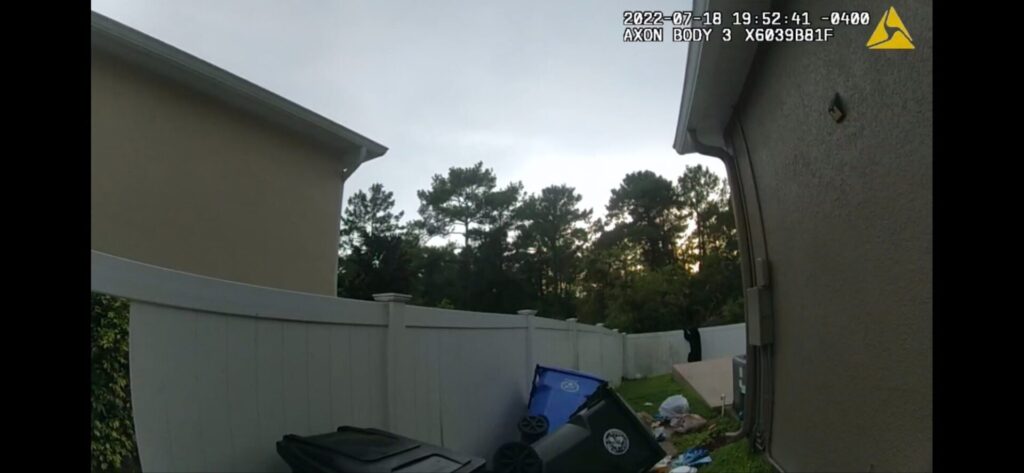 Bear climbing fence at home near CR 419 in Oviedo