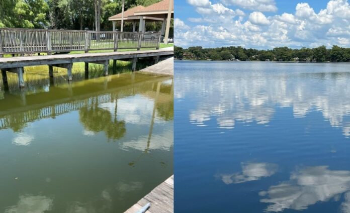 Blue green algae bloom alert issued for Lake Sue and Lake Man on July 19