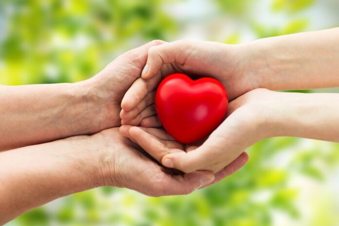Caregiver hands holding heart