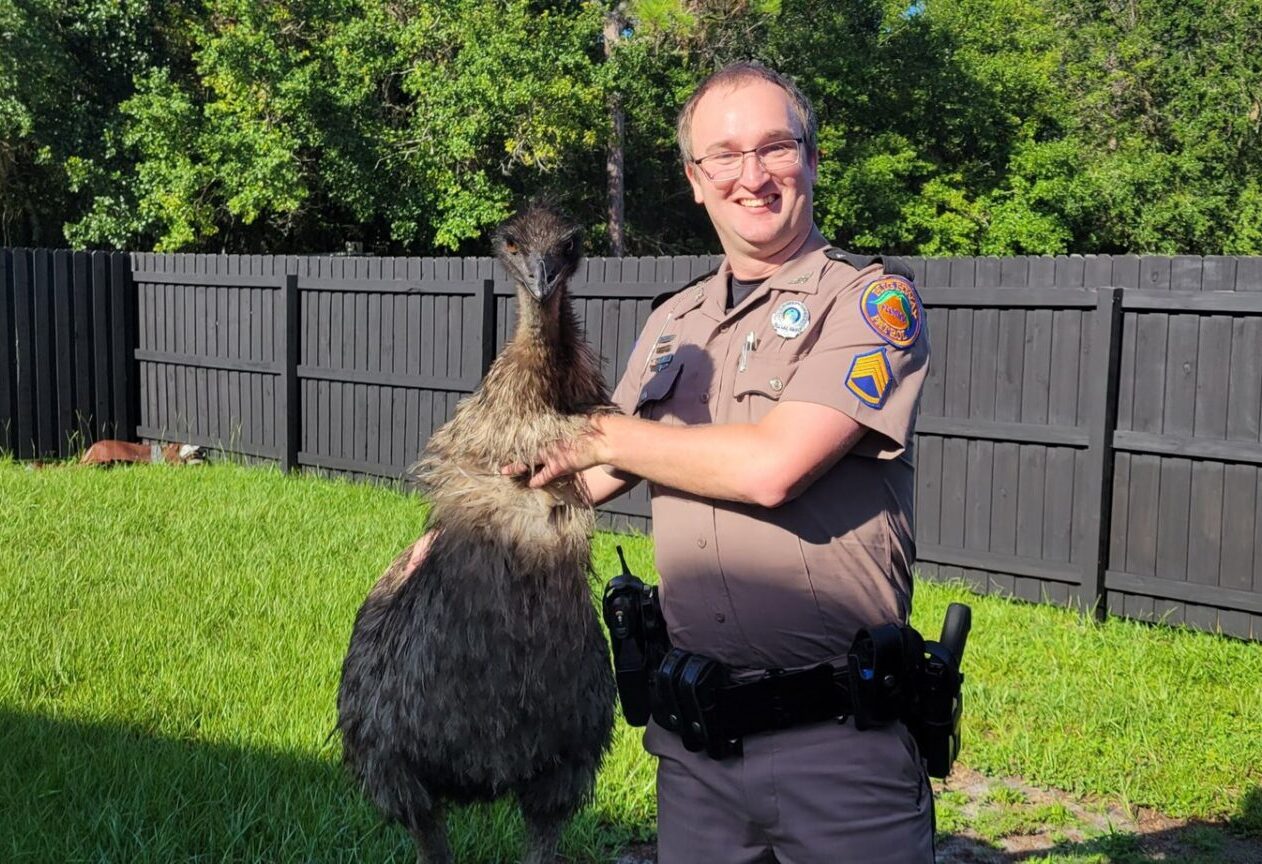 Sergeant Chris Durrance with an emu