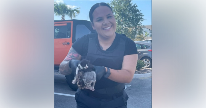 Kissimmee Police Department officers rescue five kittens from engine bay 1