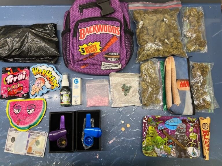 MDMA, cannabis, THC gummies seized during traffic stop on Crystal Lake Drive