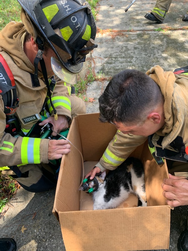 Cat saved in Winter Springs house fire