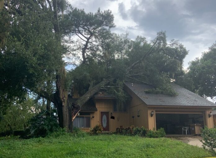 Tree crashes onto home after lightning strike in Winter Springs