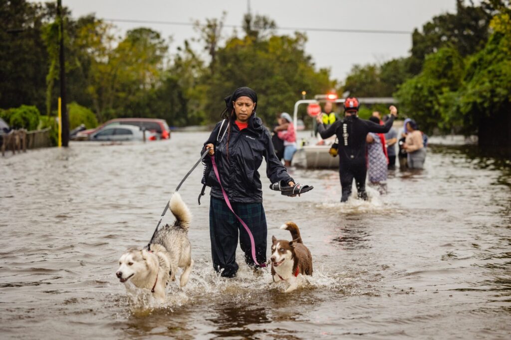 Woman walking with dogs in Orlovista community