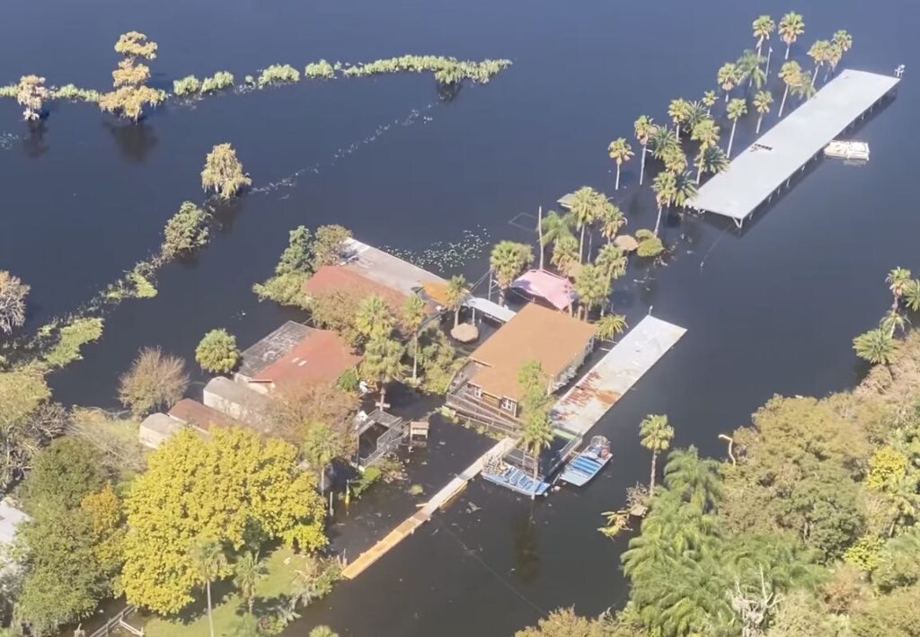 Black Hammock Adventures Airboat Rides 2 1