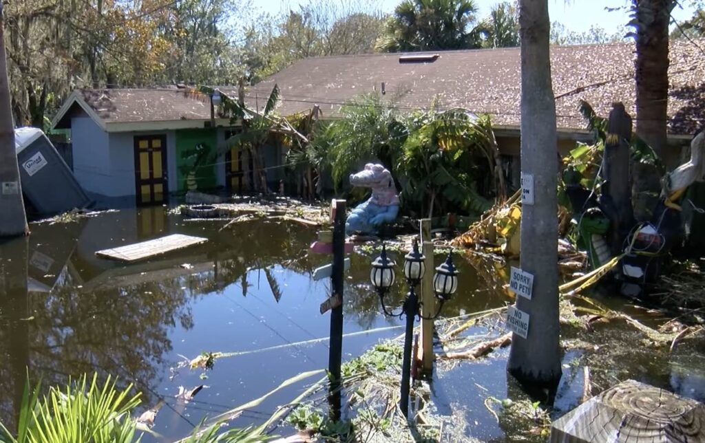 Black Hammock Adventures and Airboat Rides 3