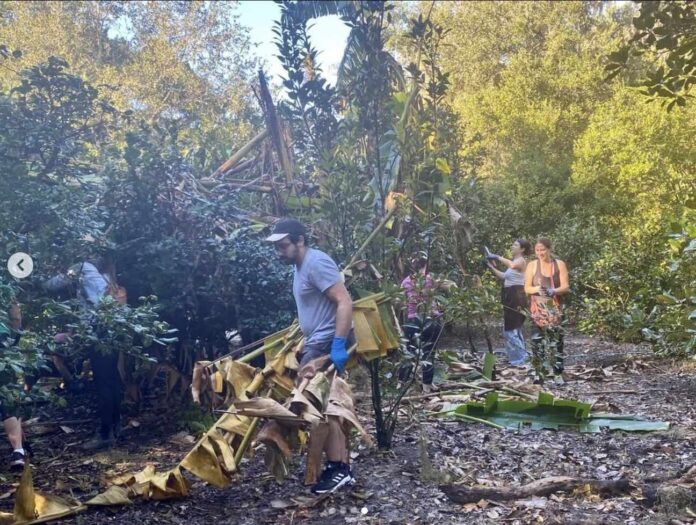 Volunteers help clear storm debris at Leu Gardens on October 8