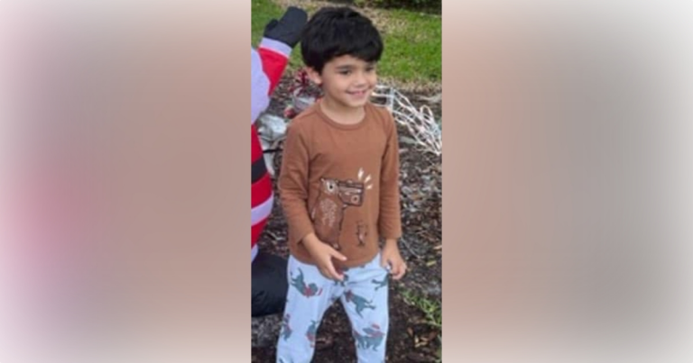 Missing 5-year-old found dead in pond near home