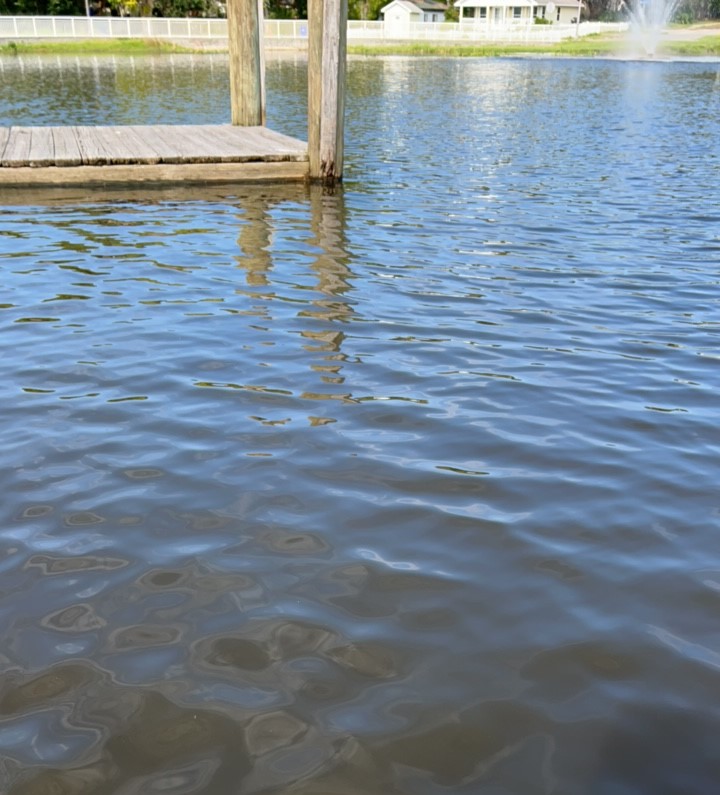 Starke Lake blue-green algae alert lifted