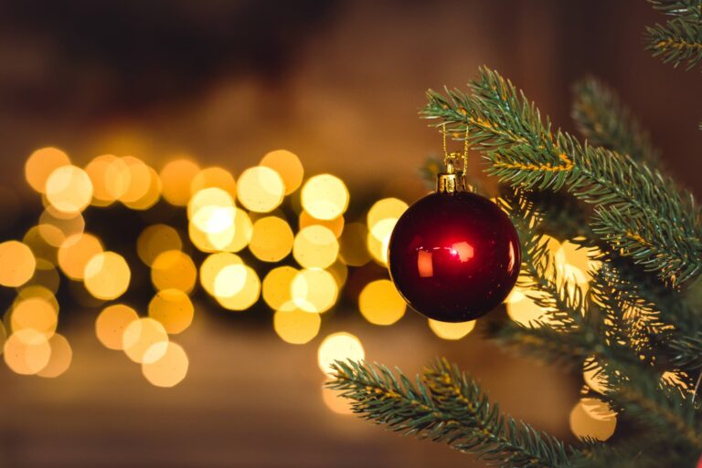 Christmas tree ornament and lights