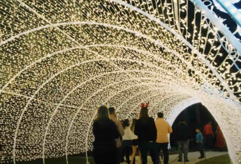 Dazzling Nights returns million holiday lights to Leu Gardens this week