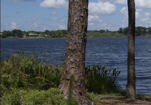 Lake in Seminole County