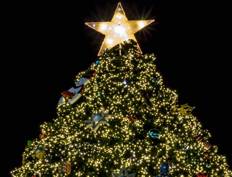 Star on top of Christmas tree