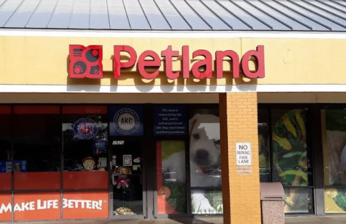 Petland South in Orlando