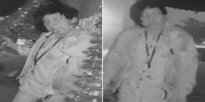 Woman wanted for stealing Christmas decorations in Sanford