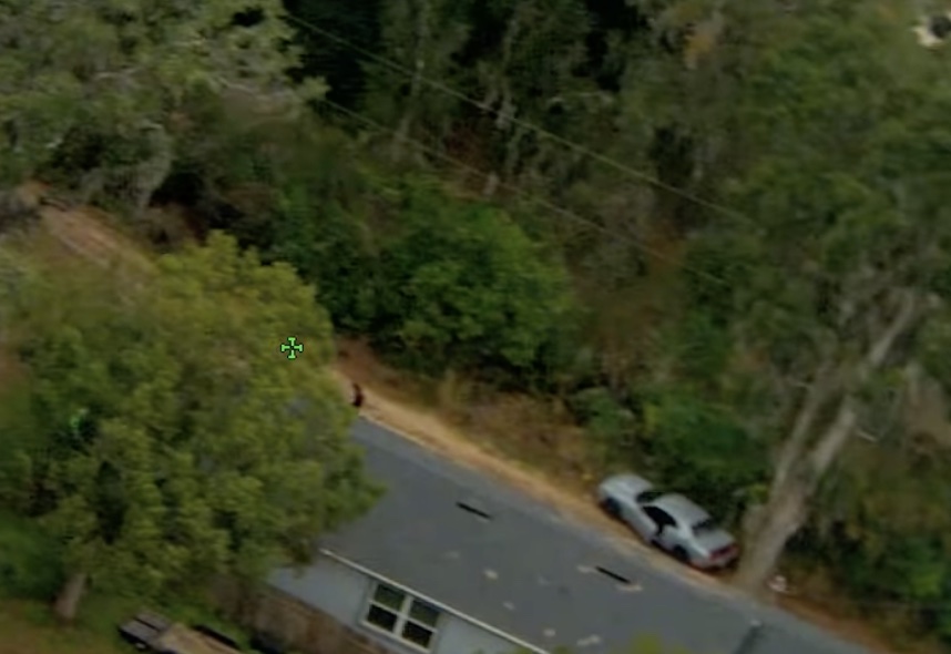 Bellantoni exits vehicle and attempts to hide in wooded area in DeLand
