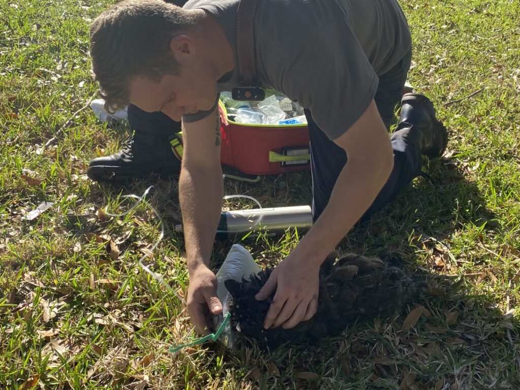 Cat being administered oxygen after home fire in Chuluota on January 10