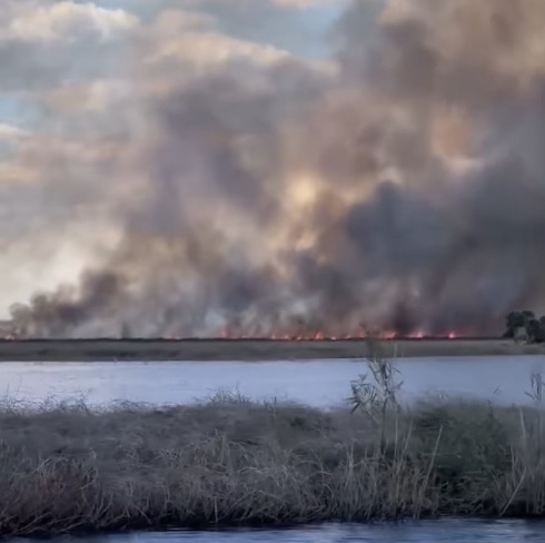 Large fires spread across marshy area in Seminole County