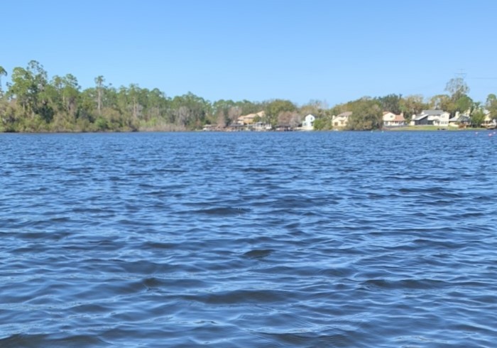 Blue-green algae alerts issued for seven Orlando-area lakes