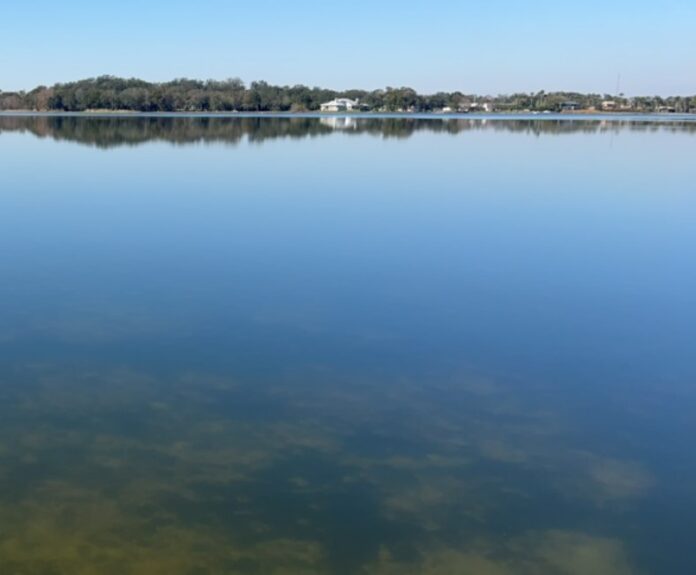 Blue green algae alert at Lake Mann