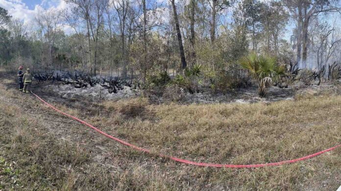 Brush fire off Chapman Road in Oviedo on February 23