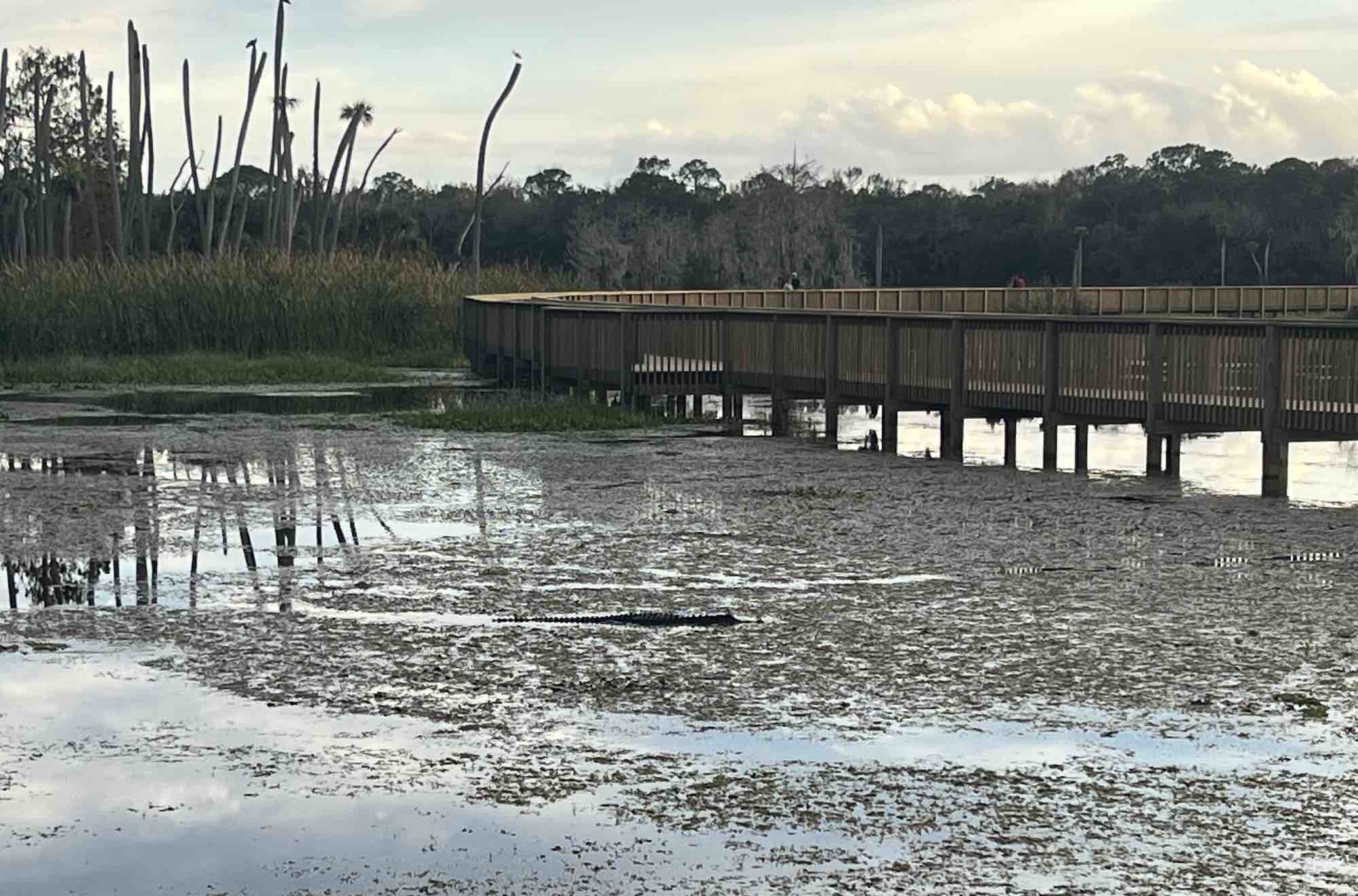 Orlando Wetlands Park