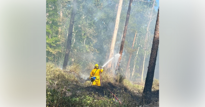Firefighters contained a 2-acre brush fire in Lake Mary on March 21