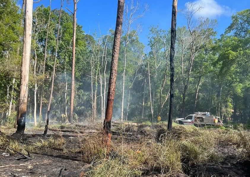 Firefighters contained a 2 acre brush fire in Lake Mary on March 21 1
