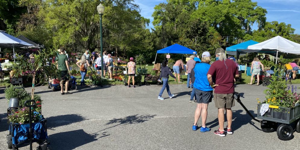 Plant Sale at Leu Gardens