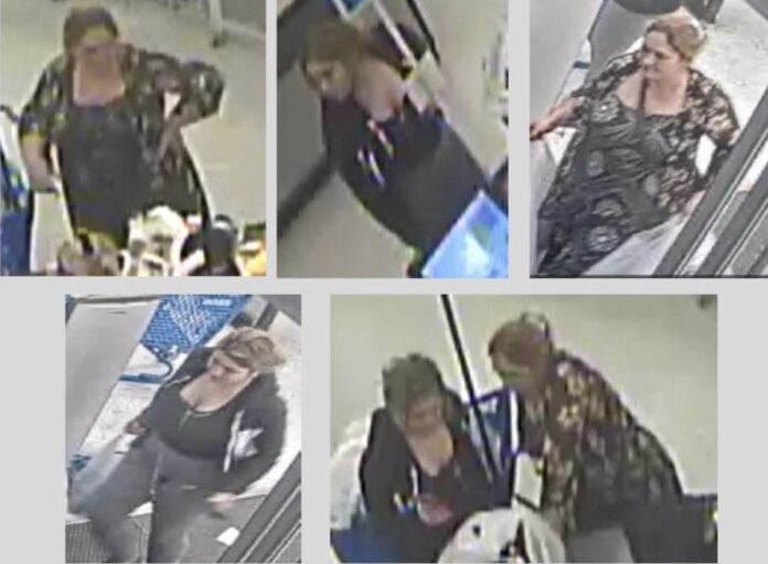 Women wanted in connection with retail theft at Ross in Clermont on February 22