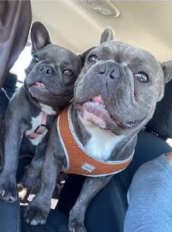 Chanel and Cornelius