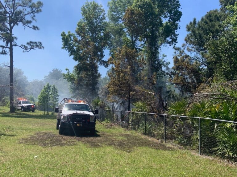 Smoke from brush fire in Oviedo on April 18