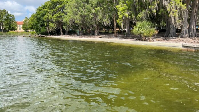 Blue Green Algae alert issued for Lake Virginia on May 1