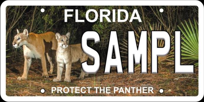 Protect the Panther Florida Specialty Plate