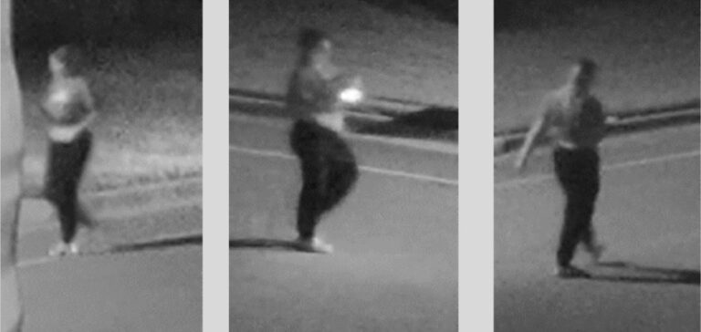 Vehicle burglar wanted by Clermont police