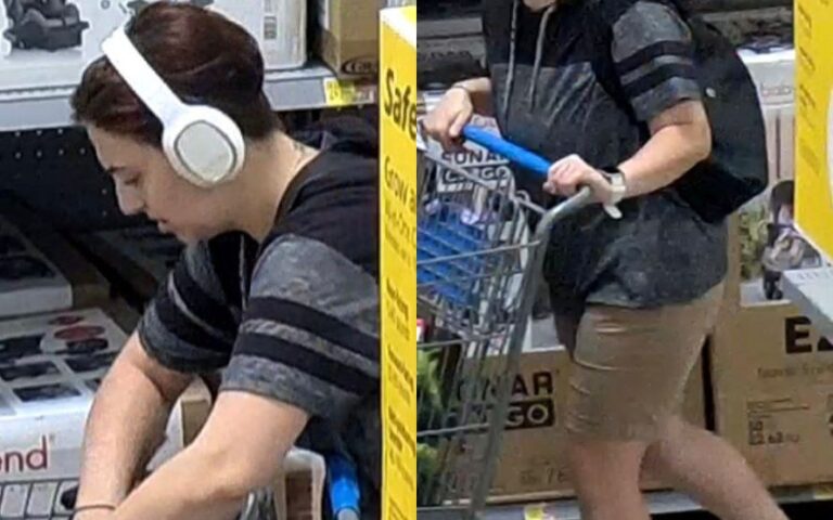 Woman wanted for stealing $500 in Walmart merchandise using reusable bags