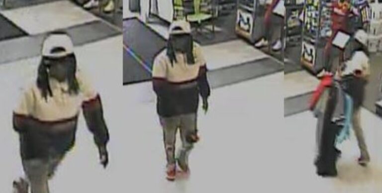 Woman wanted in connection with theft at Clermont Dick's Sporting Goods