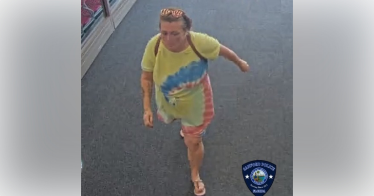 Woman wanted for stealing baby items at Target