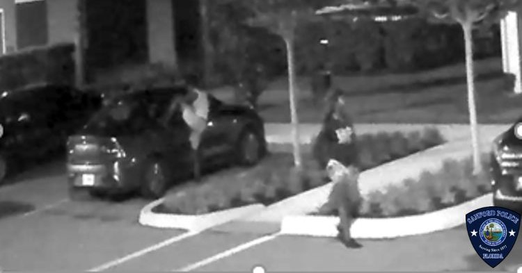 Two people wanted for theft of car firearm in Sanford