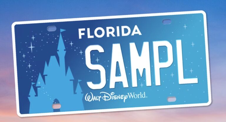 Walt Disney World Make A Wish License Plate design