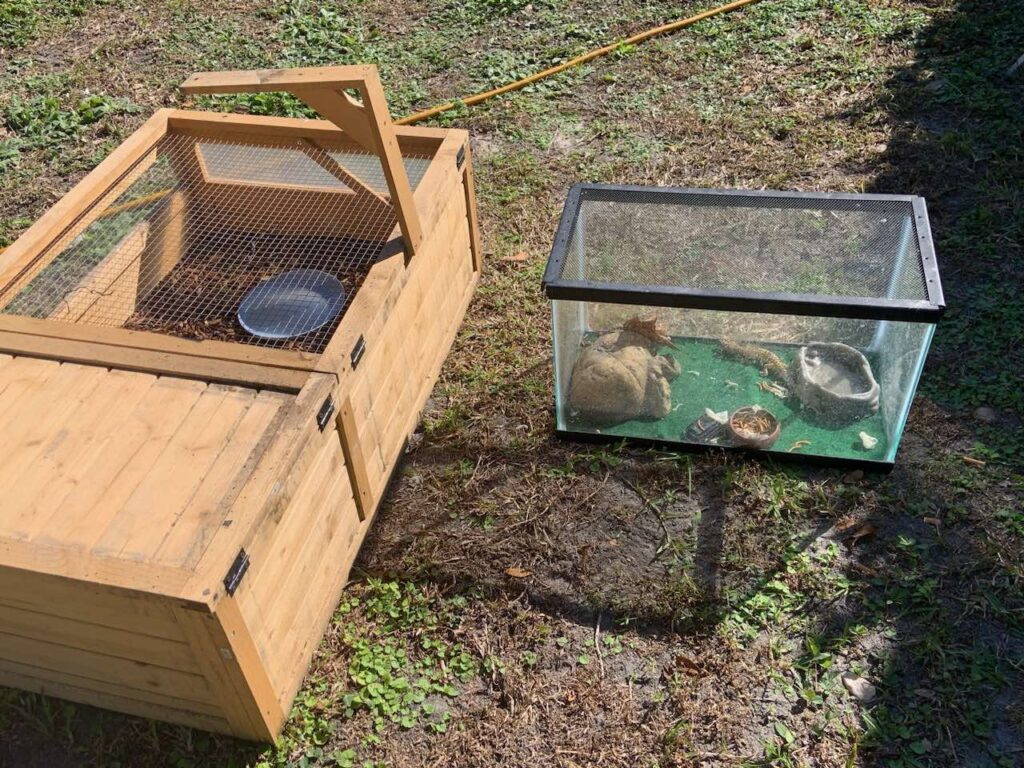Animals rescued from fire at Oviedo home on November 29