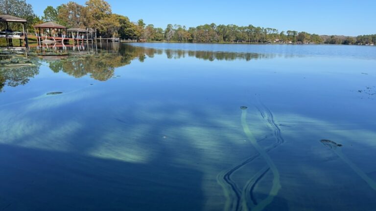 Blue Green Algae Alert issued at Lake Dowdry on November 17